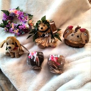 Hawaiian Bear, Dog and More